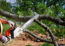 Leaf Removal in Brady, TX